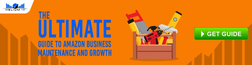 Amazon Business Maintenance and Growth