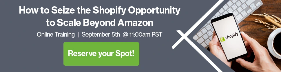 Seize the Shopify opportunity