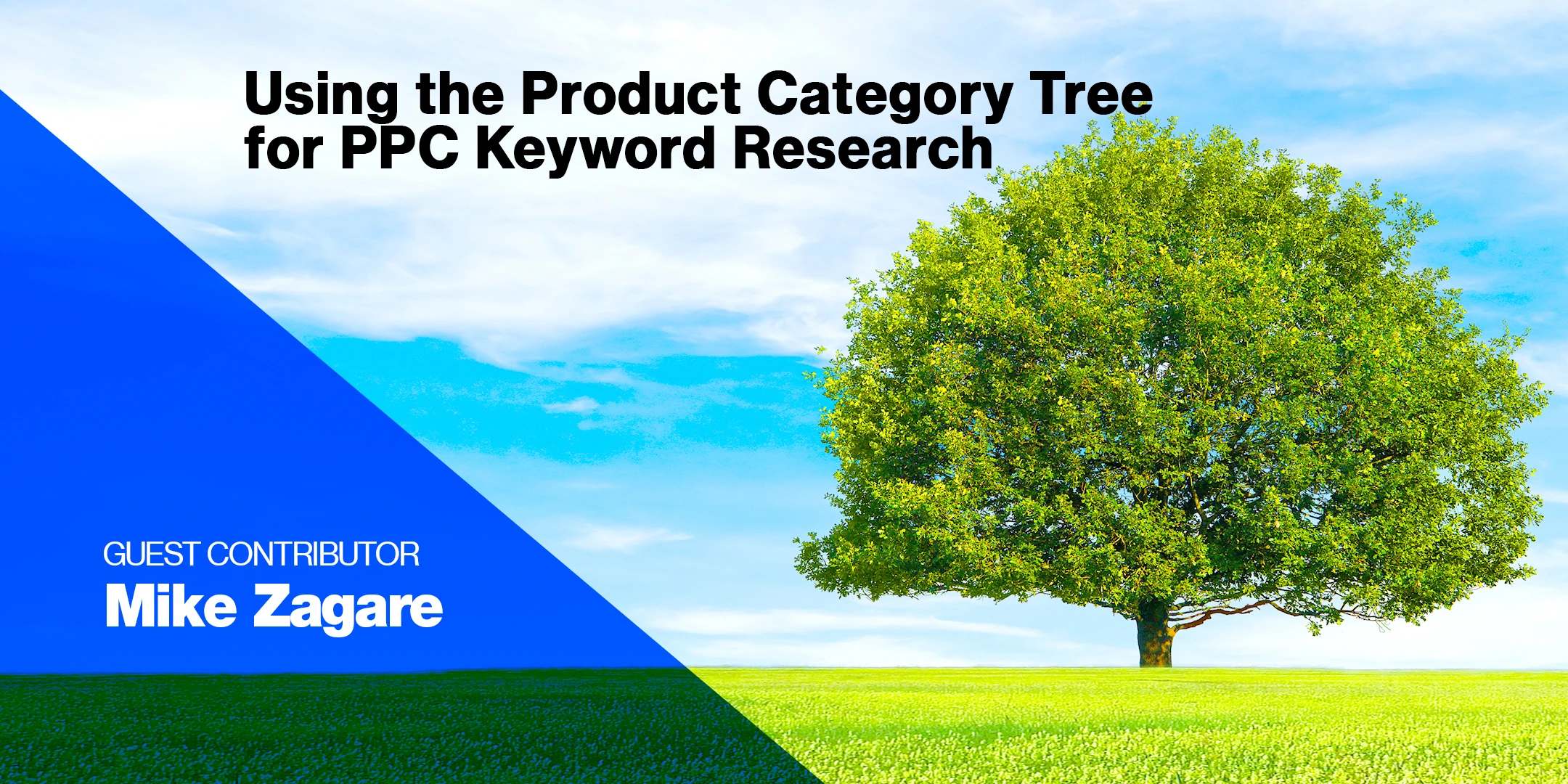 Amazon Product Category Tree