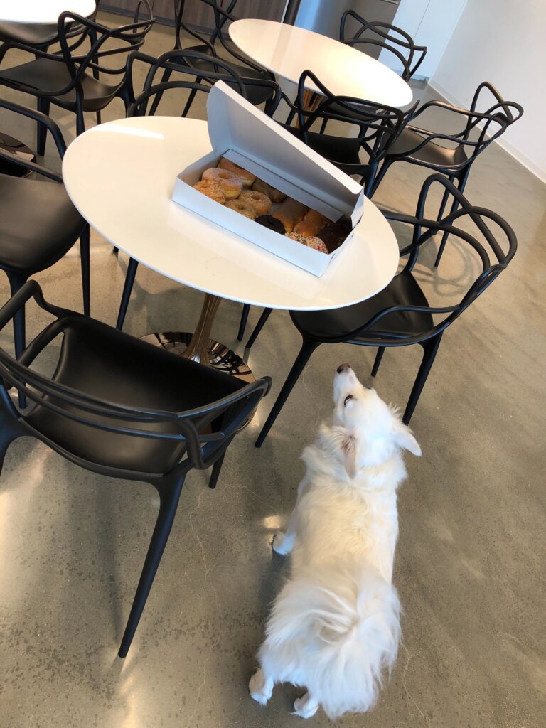 pet friendly helium 10