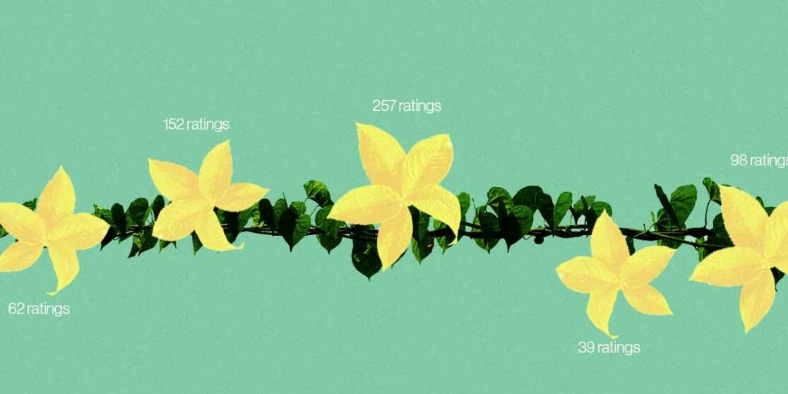 The Amazon Vine Program Explained How to Get Amazon Reviews Early