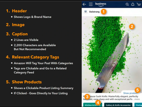 Amazon Posts for Brands | Helium 10